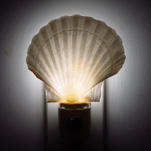 Seashell Night Light |  Shell Night Light | White Scallop Clam Night Light | Sea Shell Nightlight Bedroom Bathroom Beach Home Decor Craft