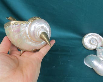 貝殻の灰皿 - Etsy 日本