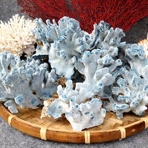 Puede incluir: Una colección de piezas de coral decorativas en una cesta de mimbre. El coral es principalmente blanco con detalles azules. Otras piezas de coral son rojas y blancas. Se ve una concha en el fondo.