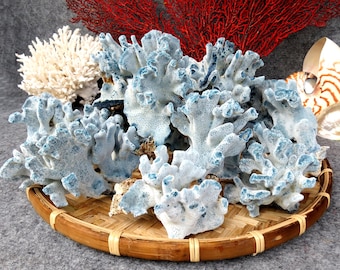 Natural Blue Coral, Real Ocean Coral Decor, Coasta, Home Decor, Aquarium Decoration, Real coral, aquarium, decorative aquarium coral, coral