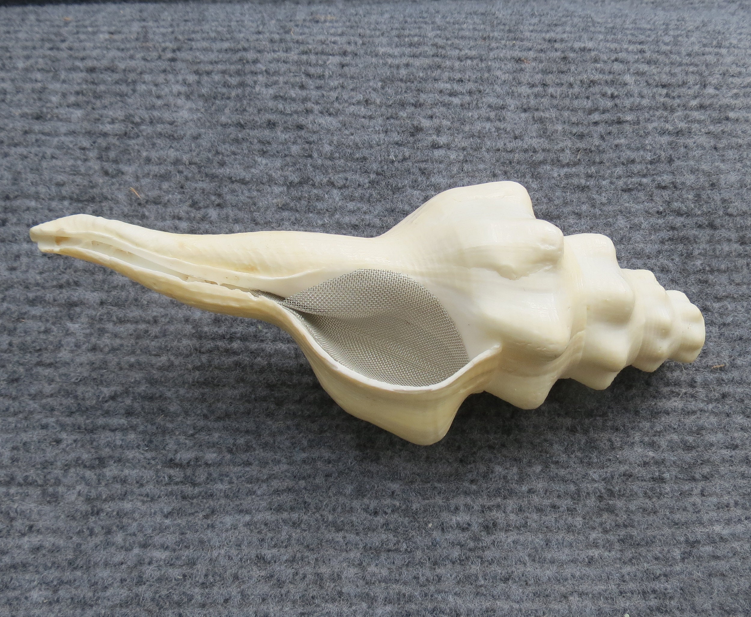 Magic Conch Shell Pipe Conch Shell Pipe, Shell Pipe, Special Pipe - Etsy