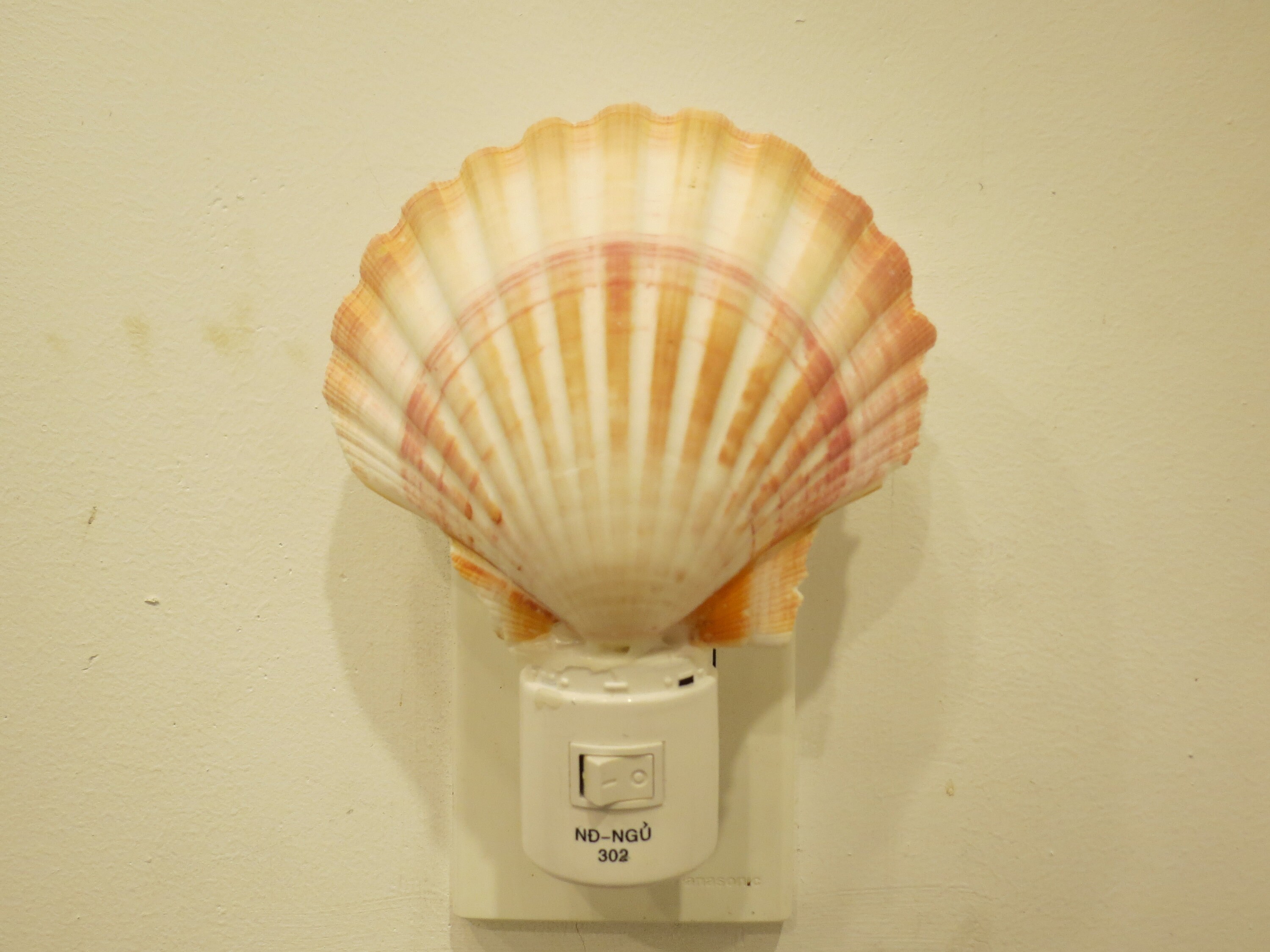 Great Bathroom Night Light, Clam Lamp, Night Light With Shellfish, Sea ...