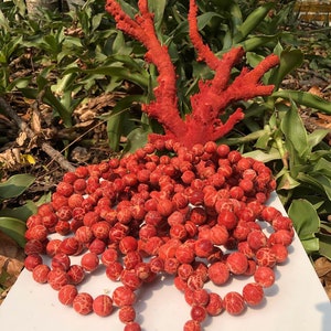 red coral bracelet, natural goods, feng shui coral bracelet, lucky coral bracelet, gift coral bracelet, precious red coral bracelet
