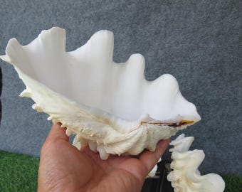 il_340x270.6192827544_kndk.jpg