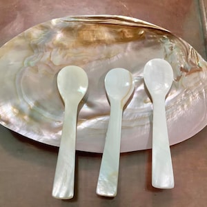 Custom Mother of Pearl Caviar Spoon, Tiny Caviar Spoon , Size 12cm , Personalized Spoon, Customized Caviar Spoon, Engraved Spoon