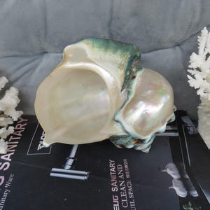 May include: A large, iridescent seashell with a green and white exterior. The shell has a deep, bowl-shaped interior.