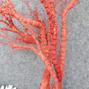 Naturlig röd korall 46 cm akvariedekor, heminredningsdekor, äkta korall för dyrbara hus bild 3