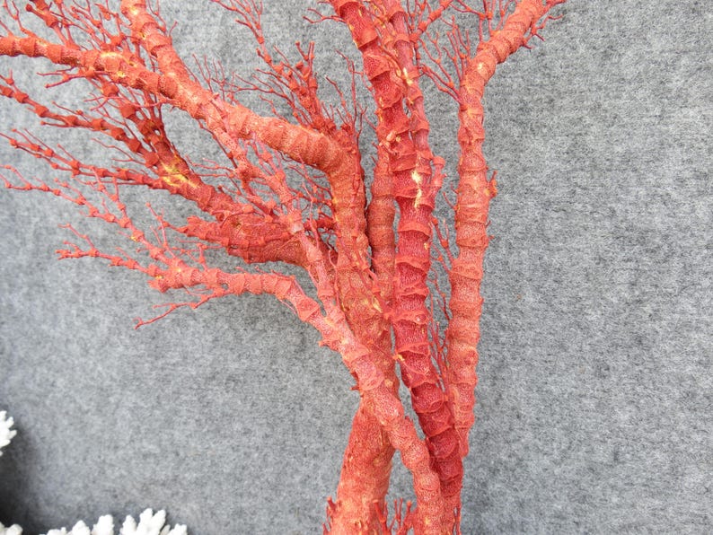 Naturlig röd korall 46 cm akvariedekor, heminredningsdekor, äkta korall för dyrbara hus bild 3