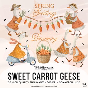 Easter Goose Clipart PNG Cute Carrot Geese Graphics Transparent Spring Cottagecore Clip Art Orange Sweet Clipart Instant Download by Wondermore Studio, by WondermoreStudio