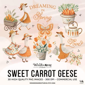 Easter Goose Clipart PNG Cute Carrot Geese Graphics Transparent Spring Cottagecore Clip Art Orange Sweet Clipart Instant Download by Wondermore Studio, by WondermoreStudio