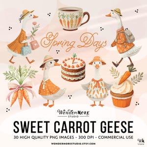 Easter Goose Clipart PNG Cute Carrot Geese Graphics Transparent Spring Cottagecore Clip Art Orange Sweet Clipart Instant Download by Wondermore Studio, by WondermoreStudio
