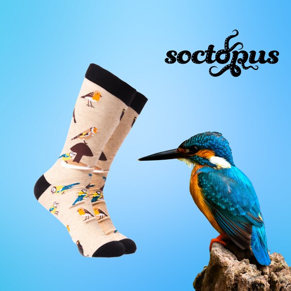 Birds Socks - Novelty Socks - Socks Gifts - Bird Gifts - Tweet Feet - Unisex Socks - Socks for Men - Socks for Women - Bird Gifts for Women