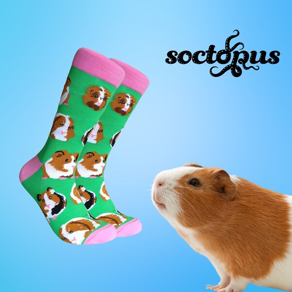 Guinea Pig Socks - Novelty Socks - Socks Gifts - I am not a Hamster - Unisex Socks - Guinea Pig Gifts - Guinea Pig Mom - Guinea Pig Dad