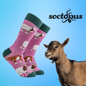 Goat Lover Socks - Goat Socks - Goat Gifts - Farmyard Socks - Socks Gifts - Novelty Socks - Unisex Socks - Socks for Men - Socks for Women