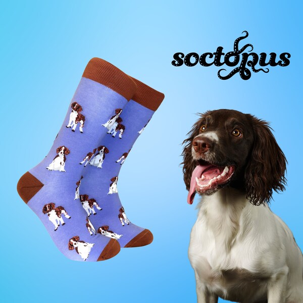 Chaussettes pour chien épagneul - Cadeaux cocker - Chaussettes pour amoureux des chiens - Cadeaux chaussettes - Chaussettes fantaisie - Chaussettes unisexes - Chaussettes pour homme - Chaussettes pour femme