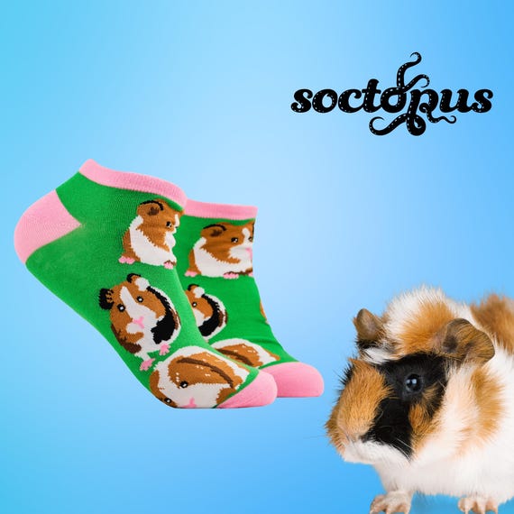 Novelty trainer socks sale