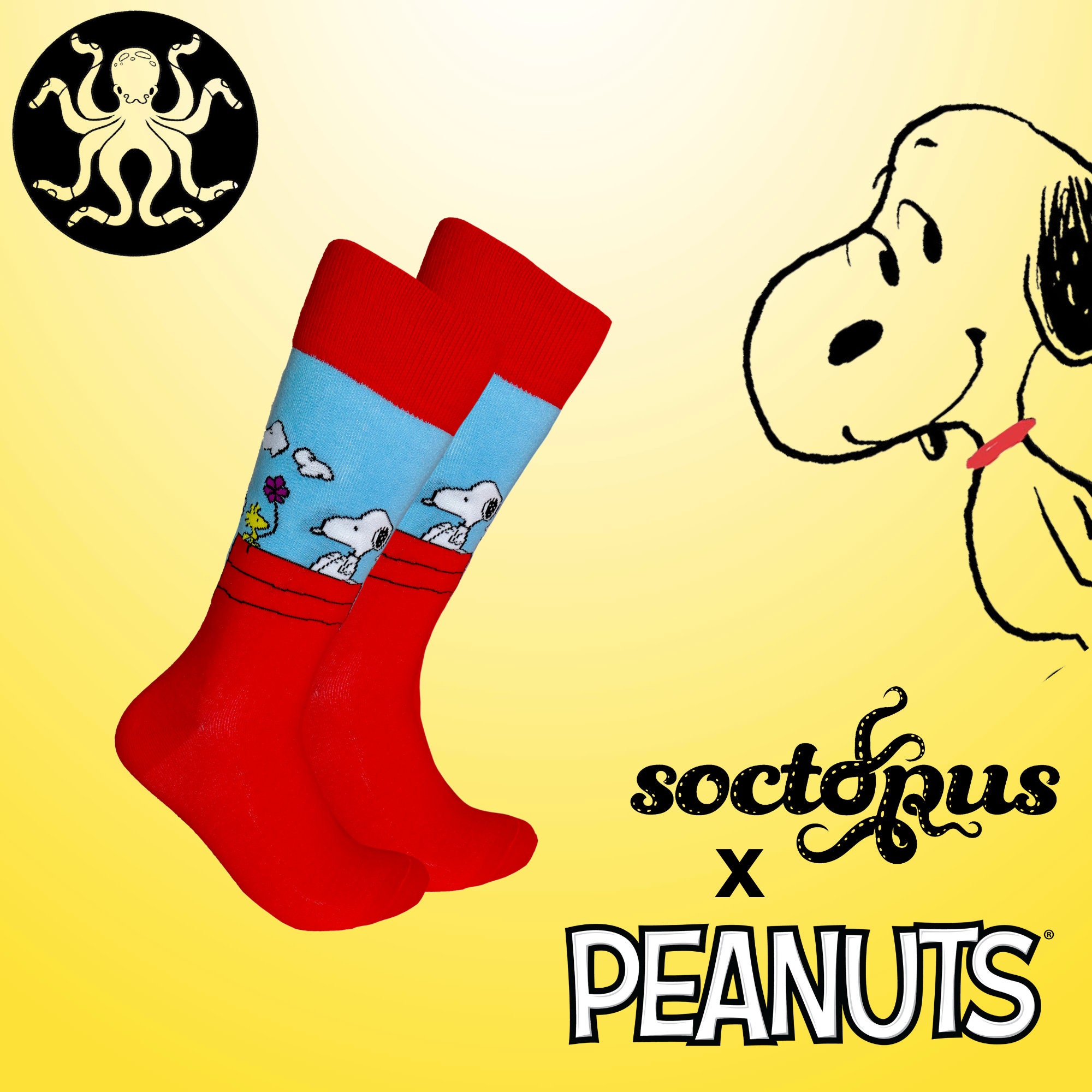  Socksense - Sensacionales calcetines para niña, estampados con  personajes de dibujos animados, talla única : Ropa, Zapatos y Joyería