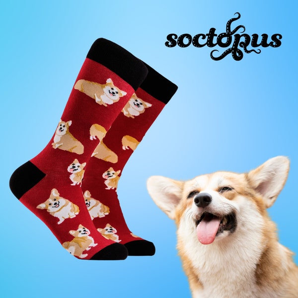 Corgis-Socken – Corgis-Geschenke – Corgis-Vater-Geschenk – Sockengeschenke – Neuheitssocken – Unisex-Socken – Socken für Männer – Socken für Frauen