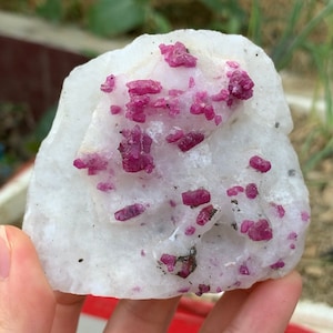 Puede incluir: Una roca blanca con un grupo de cristales de rubí rojos. Los cristales de rubí son pequeños y tienen una forma puntiaguda.