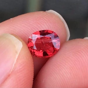 Könnte beinhalten: Ein leuchtend roter ovaler Edelstein mit einer glatten, polierten Oberfläche. Der Edelstein wird in einer Hand gehalten und zeigt seine satte Farbe und Klarheit.