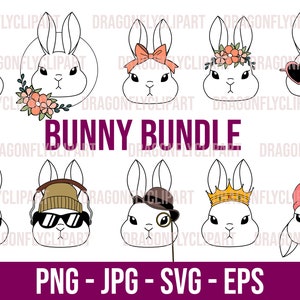 Hasen Gesicht Bundle, süsses lustiges Häschen svg, eps, png, jpg, Hipster Tiere svg, Tiere mit Brille svg, Cricut Dateien, florales Häschen