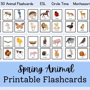 Spring Animal Flashcards - Etsy