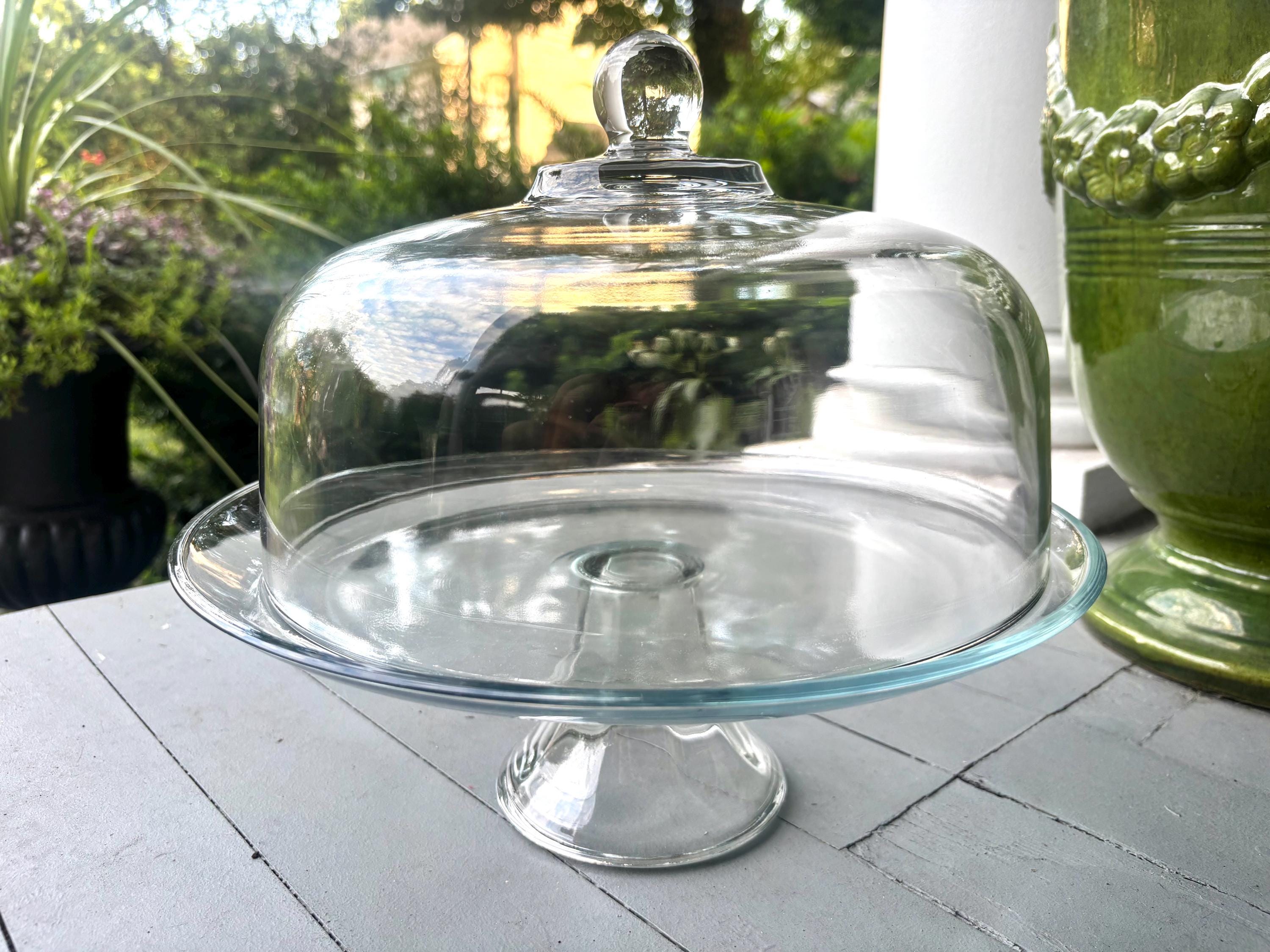Cake plate cloche