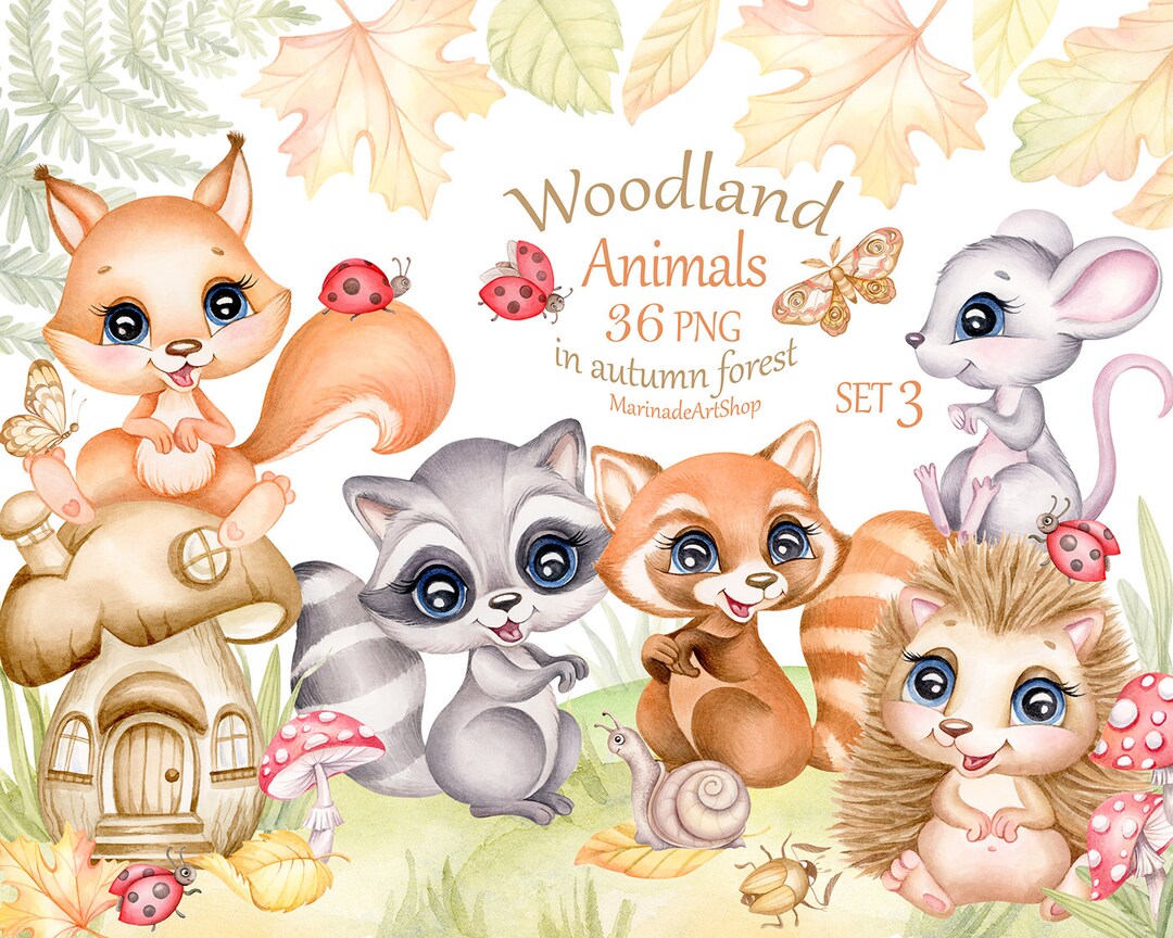 Cute Animals Watercolor Clipart Woodland Baby Animals Autumn - Etsy