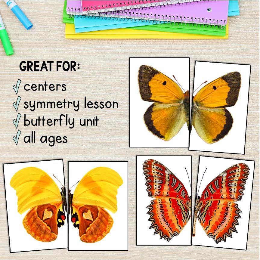 Carte d'apprentissage avec boîte de tri montessori en bois Edufun | Papouille Carte d'apprentissage avec boîte de tri montessori en bois Edufun | Papouille