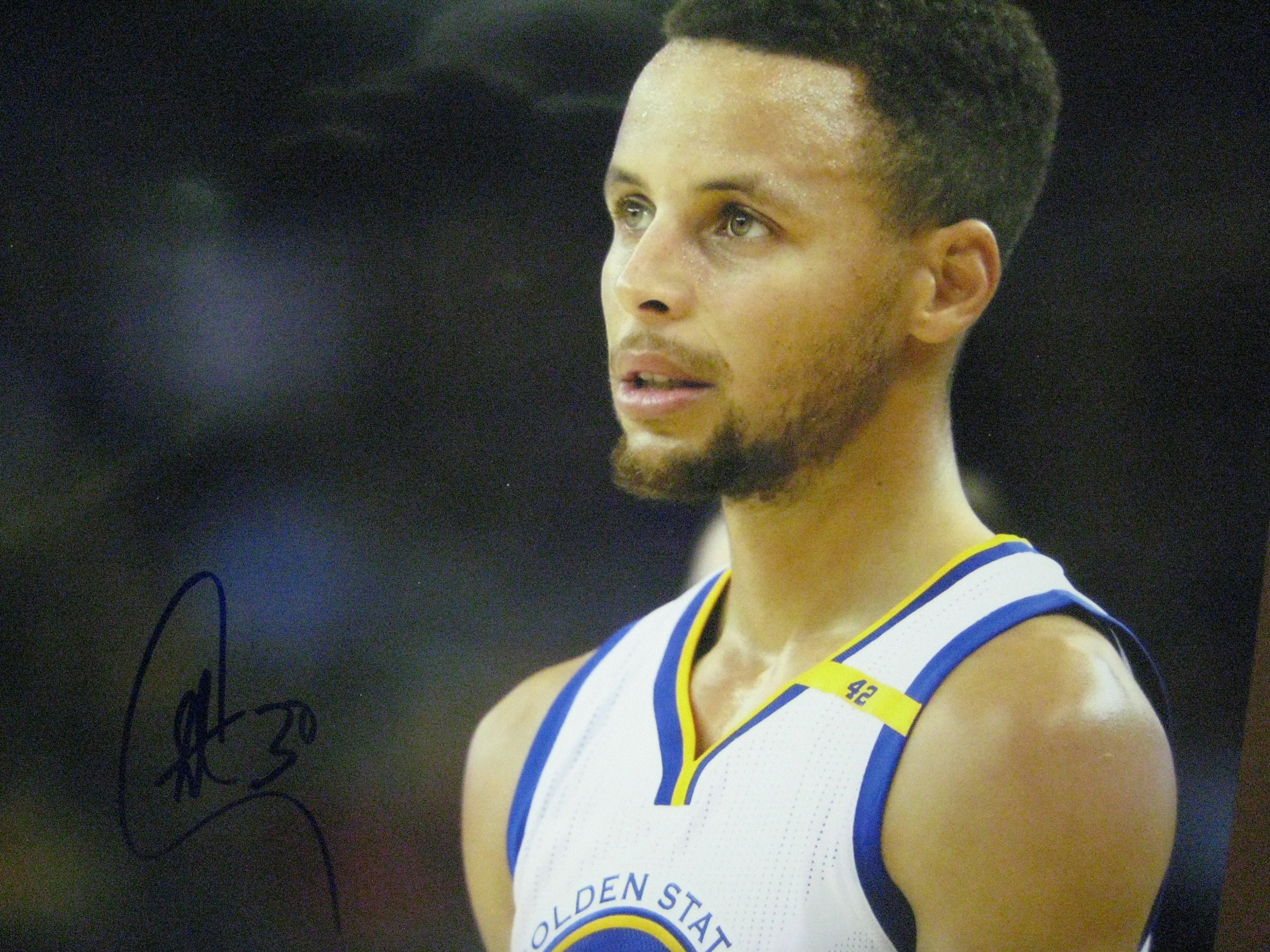 Stephen Curry Golden State Warriors Framed 15 x 17 Stars of the Game  Collage - Facsimile Signature - NBA Player Plaques and Collages