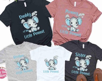 Custom Little Peanut Birthday Family Shirt, Elephant 1st Birthday Outfit, Matching Family Birthday Shirts, Cute Baby Theme Party Tee