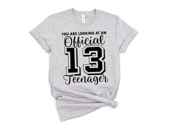 Official Teenager Boys T-Shirt, You Are Looking at an Official Teenager Shirt, 13th Birthday Boy Tee, Teen Shirt, Funny Teen Gift