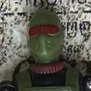 May include: Green and red plastic action figure with a black and red mask. The figure has a red headband and a black and red collar.