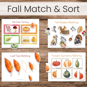 Fall Matching and Sorting Activities (Autumn Montessori Preschool Binder Printable)