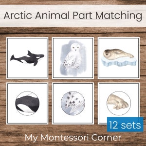 Animales árticos que veo, tarjetas a juego de parte a todo, preescolar Montessori imprimible