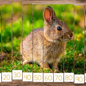 Animal Babies Spring Skip Counting Puzzles (Montessori Math Printable)