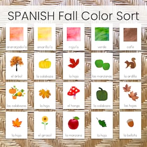 Actividad de colores de otoño en ESPAÑOL (Tarjetas de clasificación Montessori)