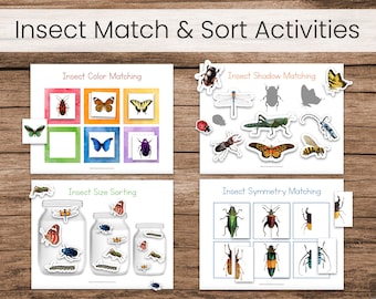 Insects Match and Sort (Preschool Printable Binder Activities)