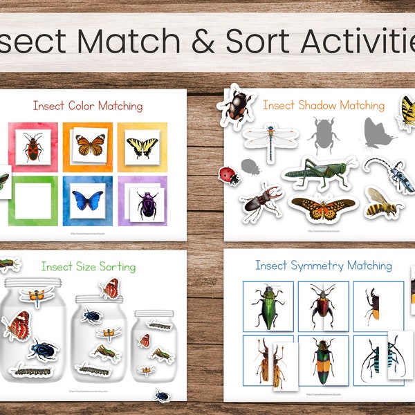 Insects Match and Sort (Preschool Printable Binder Activities)