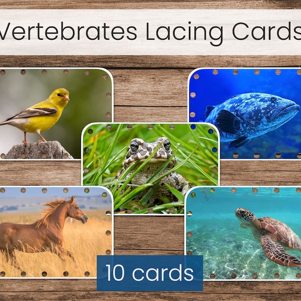 Vertebrate Types Lacing Cards (Printable Preschool Fine Motor Activity)