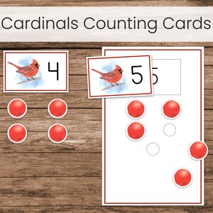 Op de afbeelding: Telkaarten met een rode kardinaal en de nummers 4 en 5. Er zijn rode cirkels om te tellen, met 4 cirkels onder de kaart met het nummer 4 en 5 cirkels onder de kaart met het nummer 5.