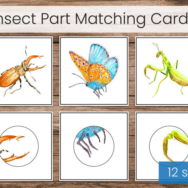 Insect Matching Cards, Part-to-Whole (Montessori Preschool Printable)