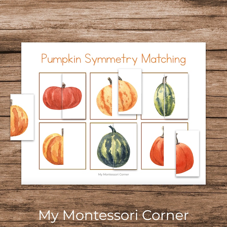 Fall Matching and Sorting Activities (autumn Montessori Preschool ...