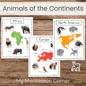 Animales de los continentes Combinación de sombras, clasificación y carteles, fotos reales (Geografía preescolar Montessori)