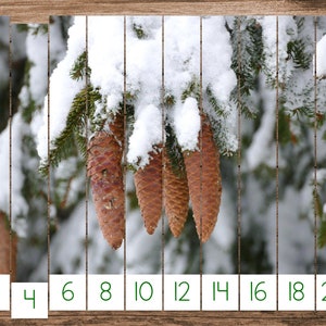 Winter Forest Skip Counting Puzzles (Montessori Math Printable)