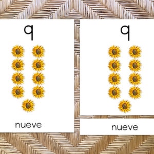 ESPAÑOL Conteo de Números y Tarjetas Montessori de 3 partes, Girasol de Otoño