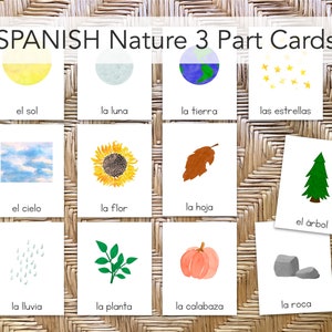Cartes nature espagnole en 3 parties : Montessori préscolaire et école à domicile imprimables