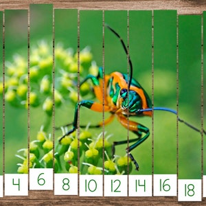 Summer Skip Counting Puzzles - Insects and Minibeasts  (Montessori Math Printable)