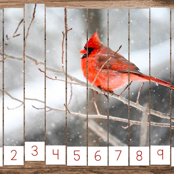 Winter Birds Skip Counting Puzzles (Montessori Math Printable)