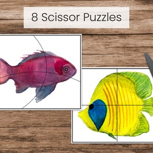 May include: Two printable scissor puzzles featuring watercolor illustrations of fish. The first puzzle shows a pink fish with black lines dividing it into eight sections. The second puzzle shows a yellow fish with black lines dividing it into eight sections.